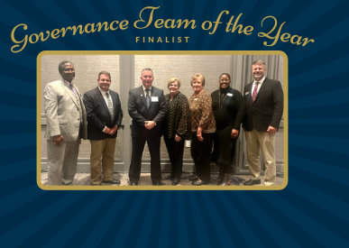 Governance Team of the Year Award